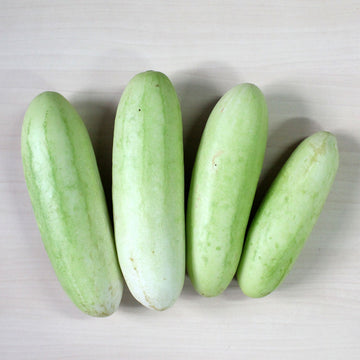 Cucumber